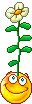 Blooming Head Emoticons